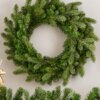 24" Cypress Spruce Artificial Christmas Wreath Unlit