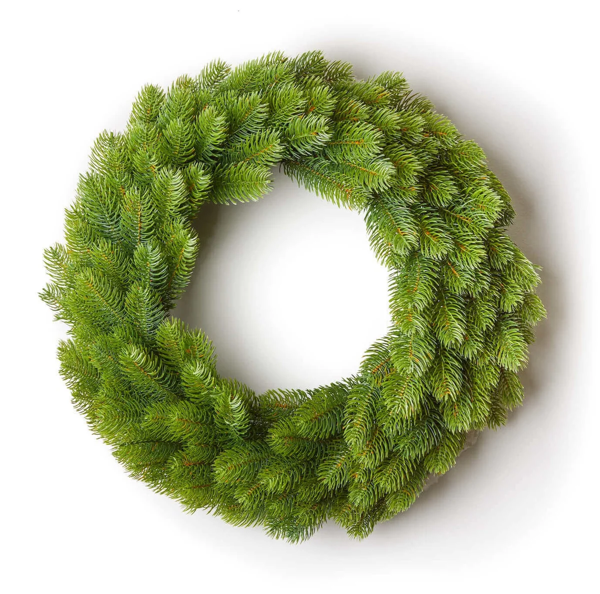 24" Royal Fir Artificial Christmas Wreath Unlit
