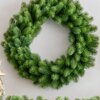 24" Royal Fir Artificial Christmas Wreath Unlit