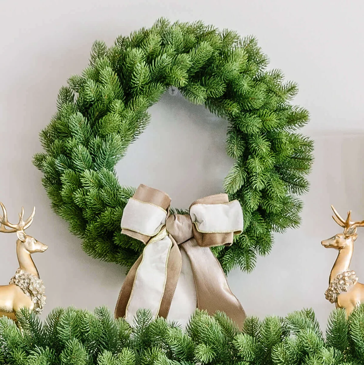 24" Royal Fir Artificial Christmas Wreath Unlit