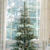 6' King Noble Fir™ Artificial Christmas Tree with 450 Warm White LED Lights
