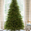 6.5' King Fraser Fir™ Artificial Christmas Tree with 750 Warm White LED Lights