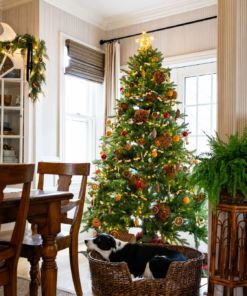 7.5' Scarlet Fir Artificial Christmas Tree Unlit