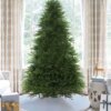 9' King Fraser Fir™ Artificial Christmas Tree Unlit