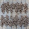 Champagne Berry Picks (12 Pack) with metallic finish for holiday decor
