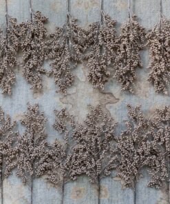 Champagne Berry Picks (12 Pack) with metallic finish for holiday decor