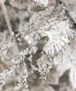 Frozen Branch Picks (12 Pack)