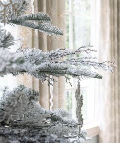 Frozen Branch Picks (12 Pack)